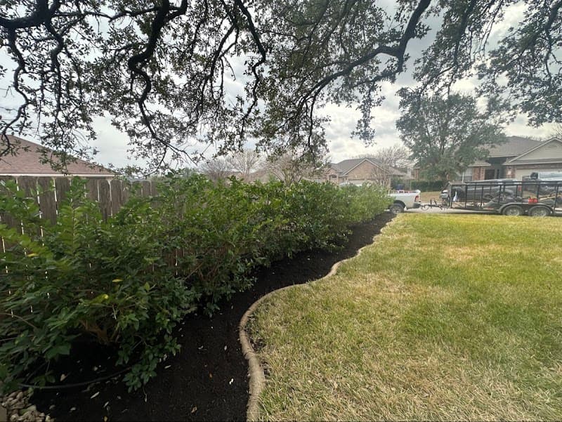 Love For Lawns