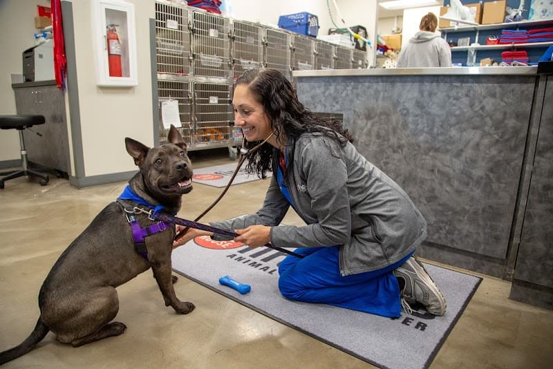 Firehouse Animal Health Center