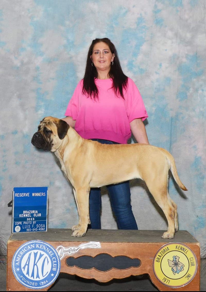 Jenn's Elite Grooming